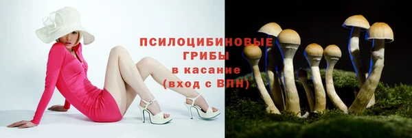 ГАЛЛЮЦИНОГЕННЫЕ ГРИБЫ Билибино