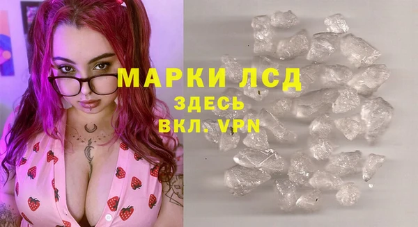 мяу мяу мука Бикин