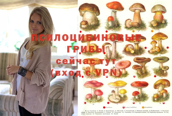 ГАЛЛЮЦИНОГЕННЫЕ ГРИБЫ Билибино